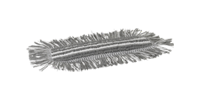 mop_548725